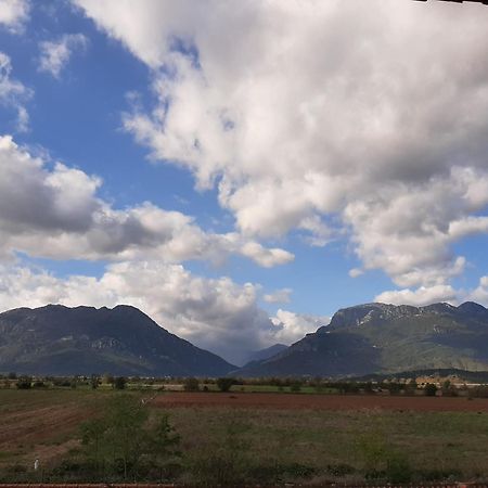 Αρχοντικό Παπανικολάου Villa Ligaria  Buitenkant foto