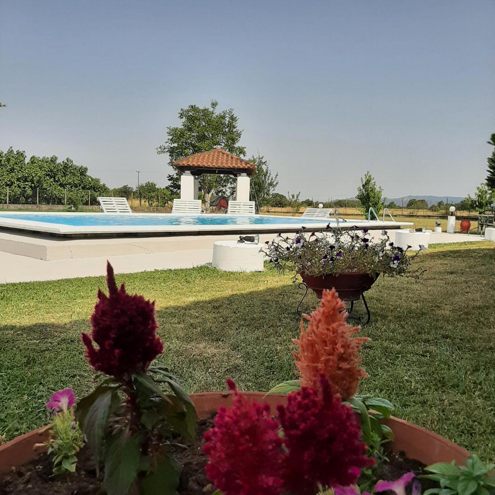 Αρχοντικό Παπανικολάου Villa Ligaria  Buitenkant foto